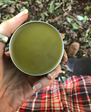 Image of Pine Resin First Aid Salve 