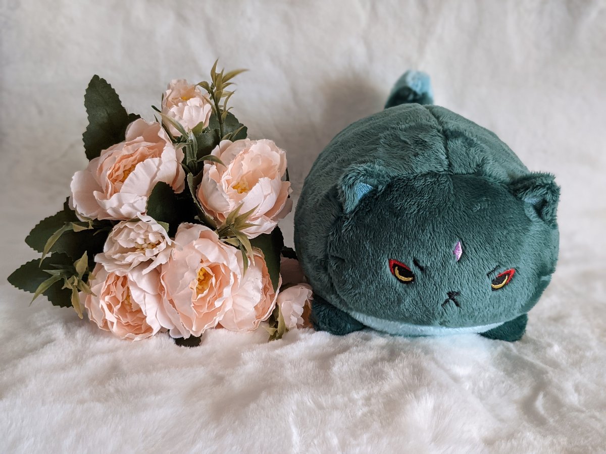 Xiao Pup plush | pokipeach