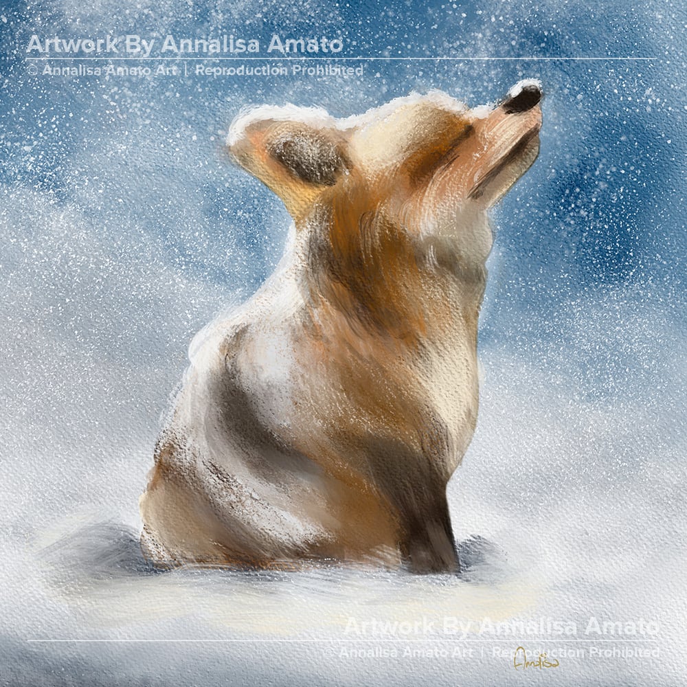 Sweet Fox  - Artwork  - Limited Edition Prints