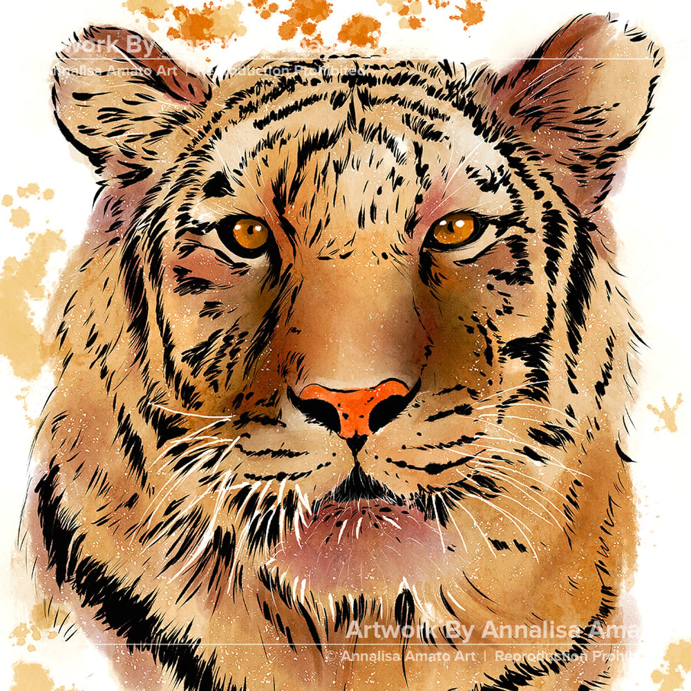 Fierce Tiger  - Artwork  -  Prints