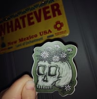 Image 1 of The Dead & The Daisies Vinyl Sticker