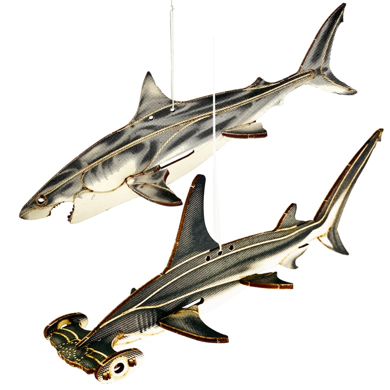 Image of JCR SHARKS : GREAT WHITE + GREAT HAMMERHEAD FAM-PACK 