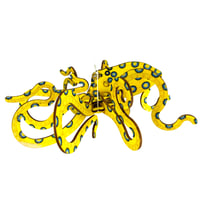 Image 2 of JCR MOLLUSCA : GREATER BLUE-RINGED OCTOPUS