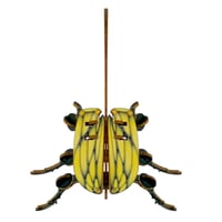 Image 5 of JCR ARTHROPODA : BEETLE