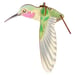 Image of JCR BIRDS : HUMMINGBIRD