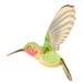 Image of JCR BIRDS : HUMMINGBIRD