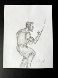 Wolverine