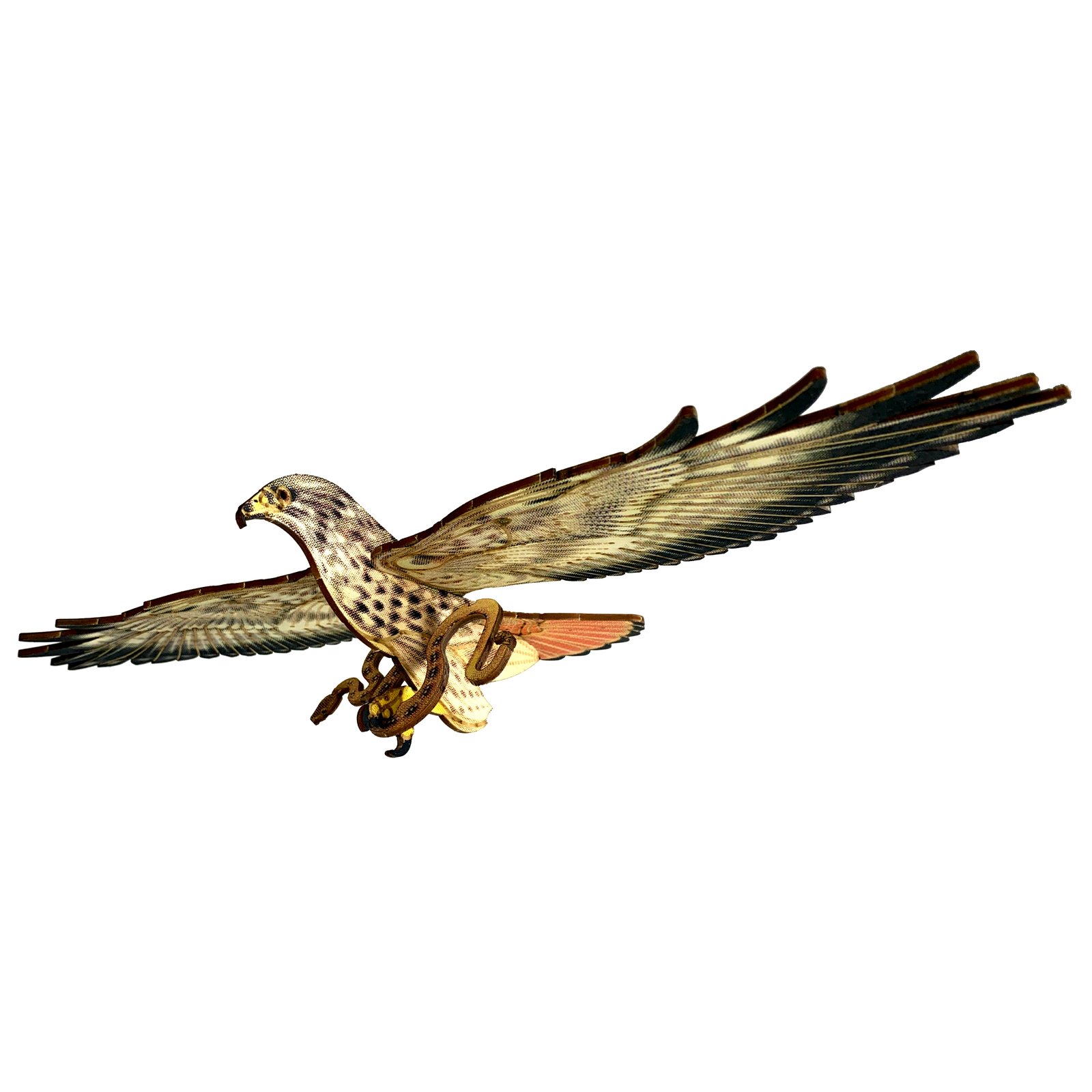 20+ Drawing Of Red Tailed Hawks Illustrations, Royalty-Free Vector Graphics  & Clip Art - iStock