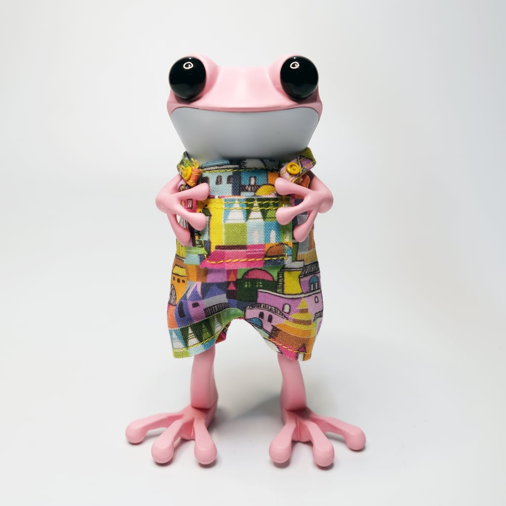 Image of Townie Froggie