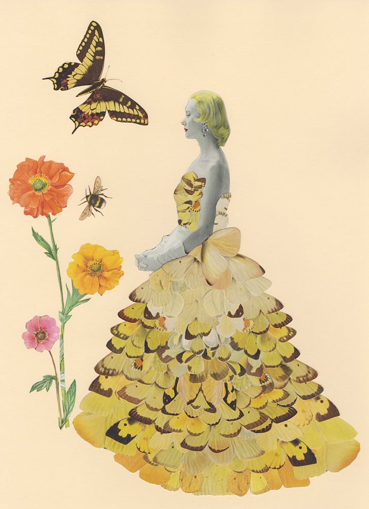 Image of Float like a butterfly, sting like a bee. Original paper collage.