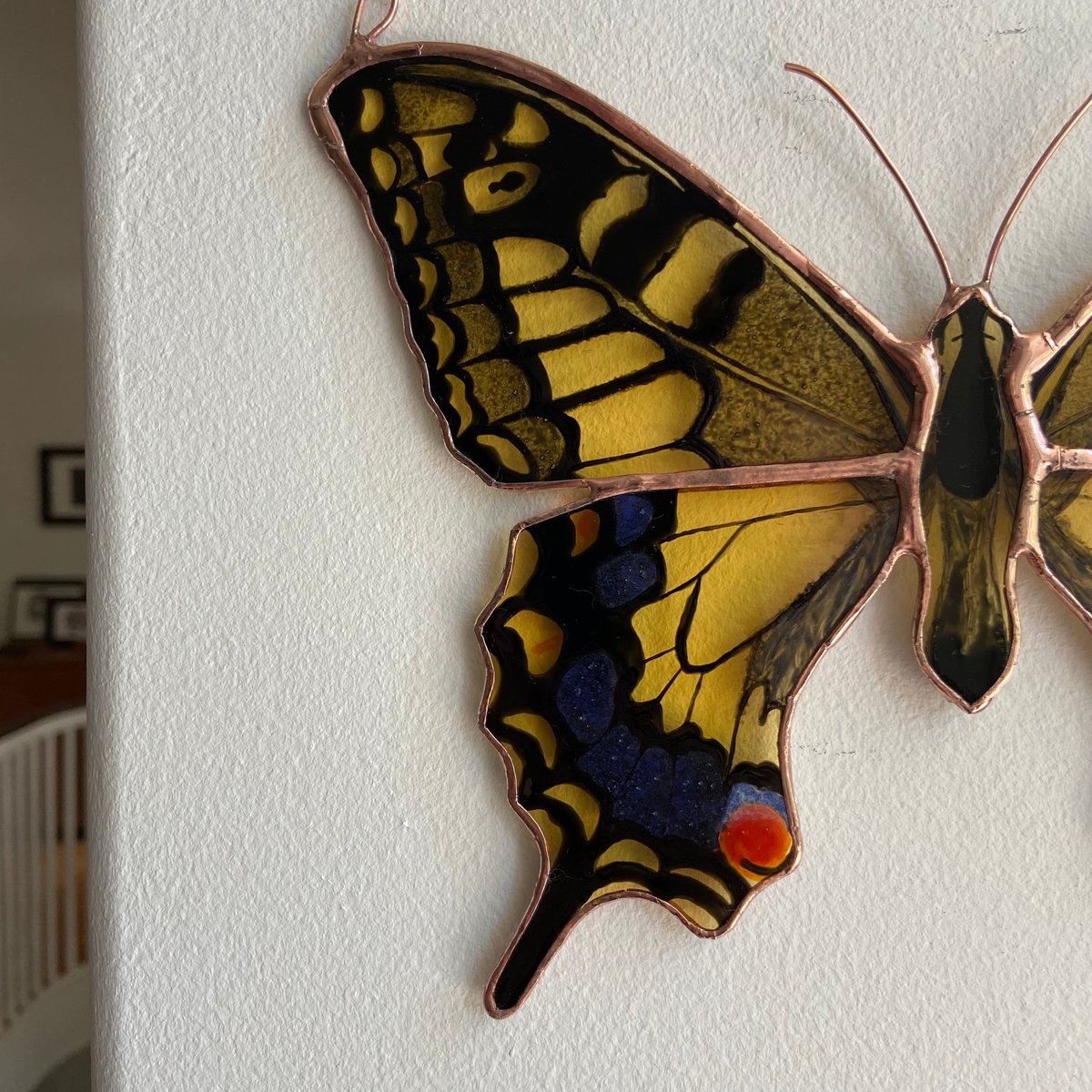 Old World Swallowtail Butterfly Sticker — FIELD GUIDE DESIGNS