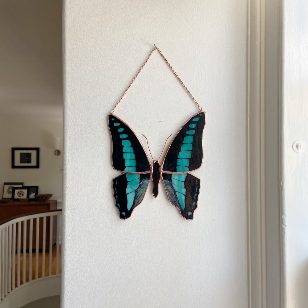 Image of Blue Triangle Butterfly