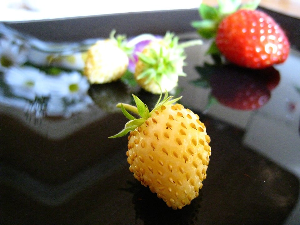 Image of Fragaria - Alpine Strawberries (Mixed - White and Red fruits)