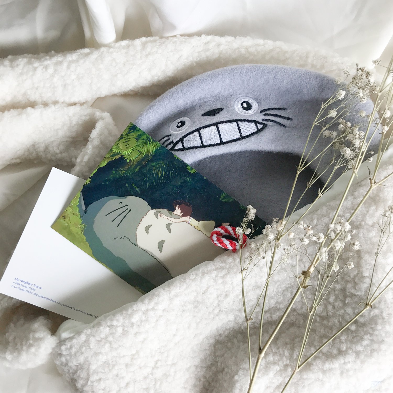 Image of Totoro Beret