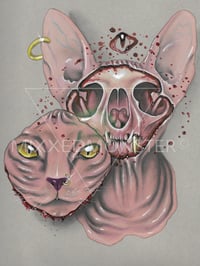 Face Off (canvas print)