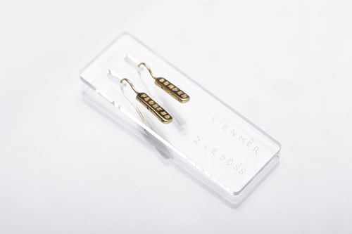 Image of gold plated light plain silver earrings with inscription in Latin