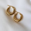 Ms. Mami Hoops