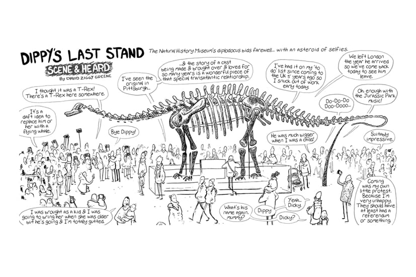 Dippy report print