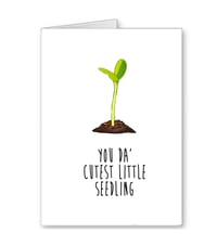 Image 2 of Seedling