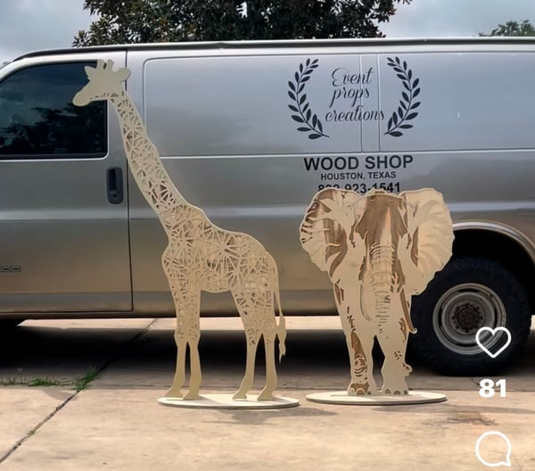 Image of safari Animals