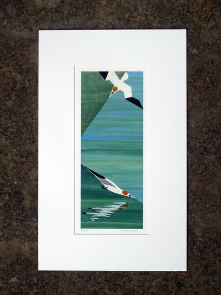 Image of Gannet Limited Edition Print