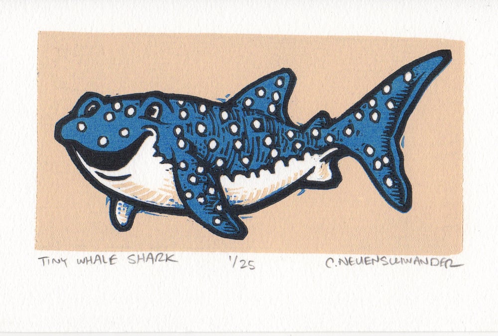 Tiny Whale Shark Print