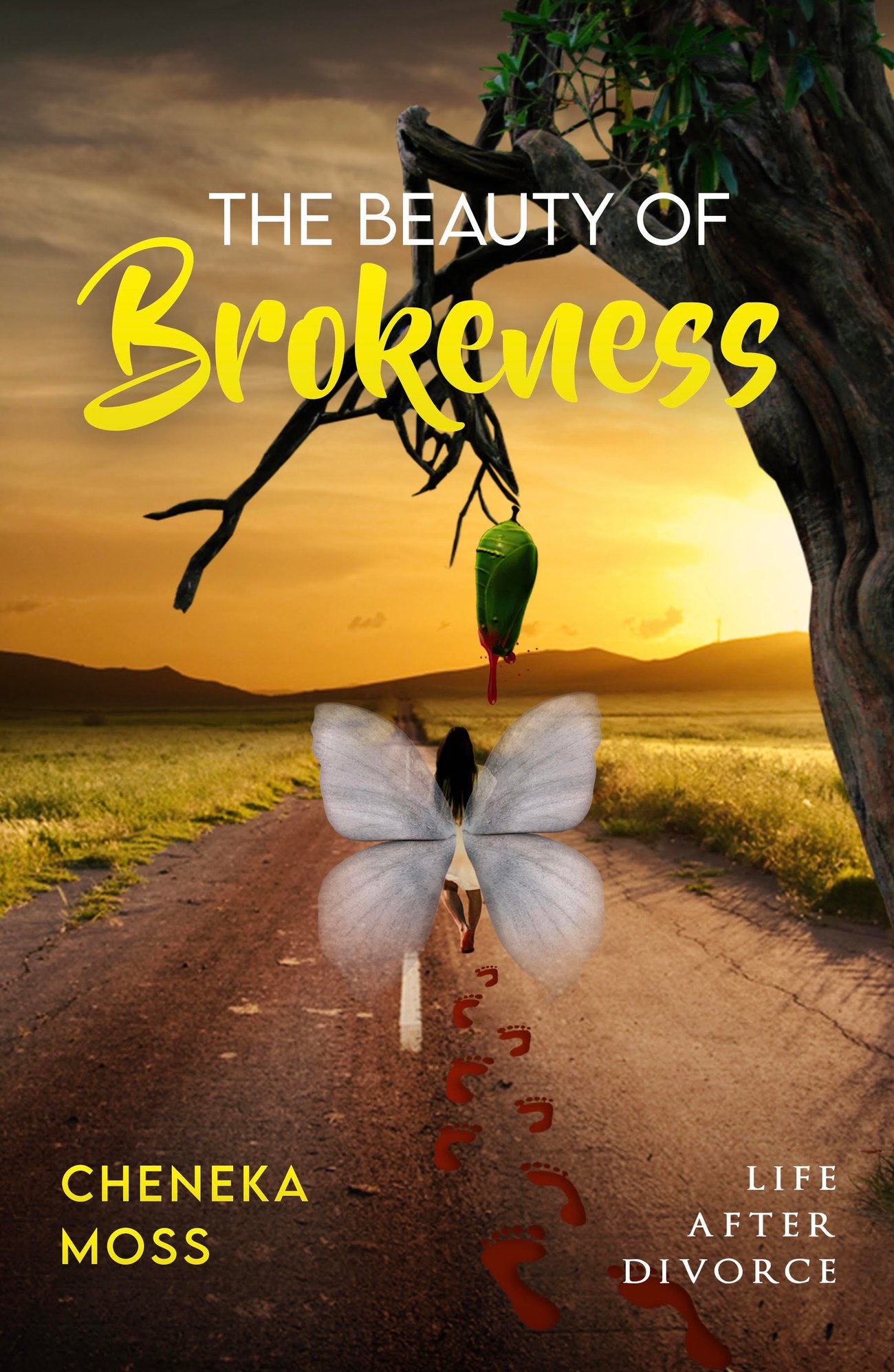 The Beauty Of Brokenness Life After Divorce Book The Beauty Of Brokenness