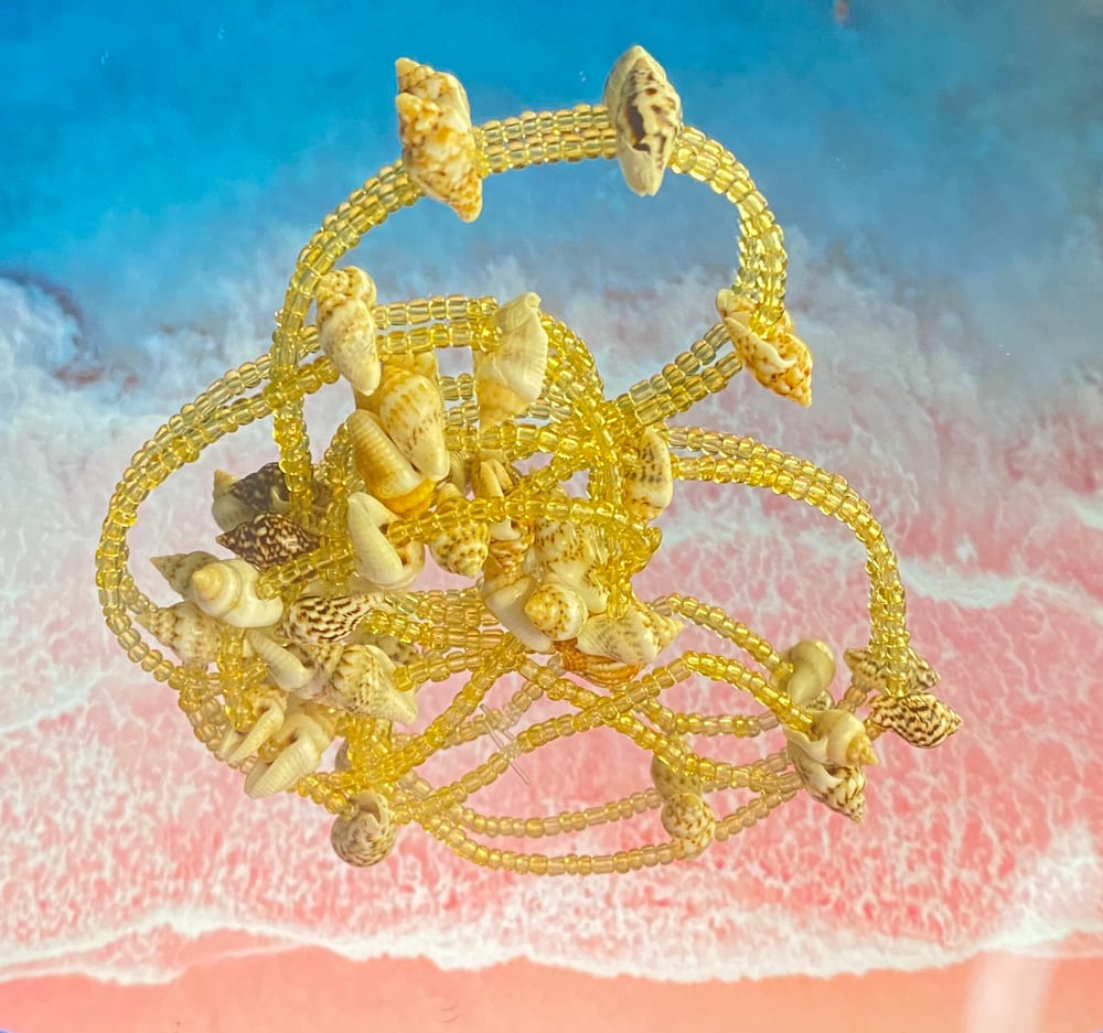Image of Seashell Waistbead