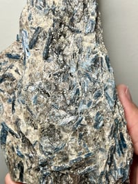 Image 14 of Kyanite in Quartz feldspar schist | Brazil #2686