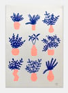 RISOGRAFIA Xarrons Pinha A3