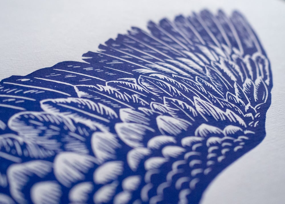 Blauracke Linoprint Blue
