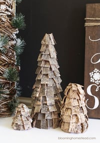 Christmas Minis (Day 2- Sunday Nov 7) $180