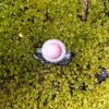 Rhodonite Crosshatch Single Band Rope Ring (#1171)