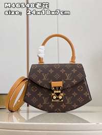Image 3 of LV Tilwit Bag