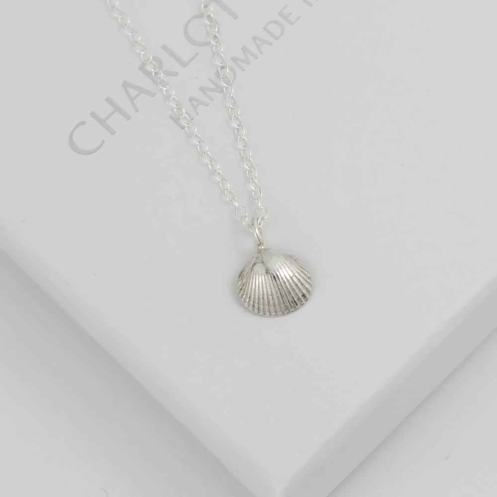 Image of Silver cockle shell necklace