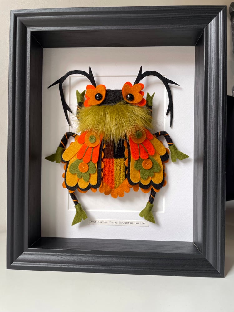 Image of Long-horned Mossy Moquette Beetle