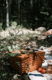 picnic set up for four