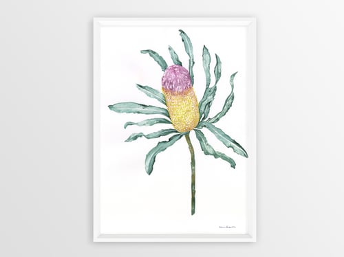 Image of Golden Banksia