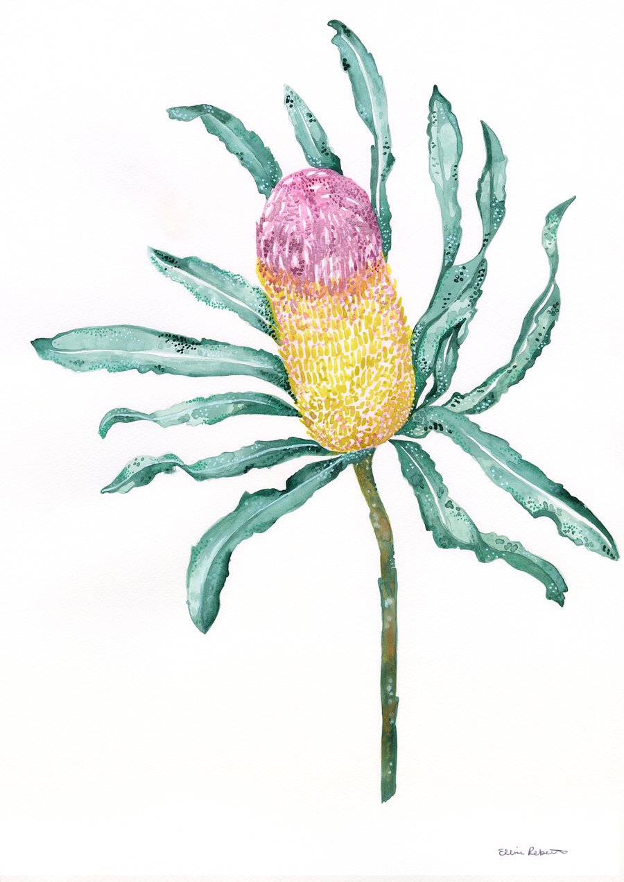 Image of Golden Banksia 