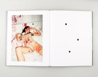 Image 3 of DEATH BOOK II BY BRUCE LABRUCE