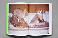 Image 2 of DEATH BOOK II BY BRUCE LABRUCE