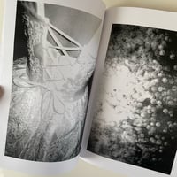 Image 4 of Moondust