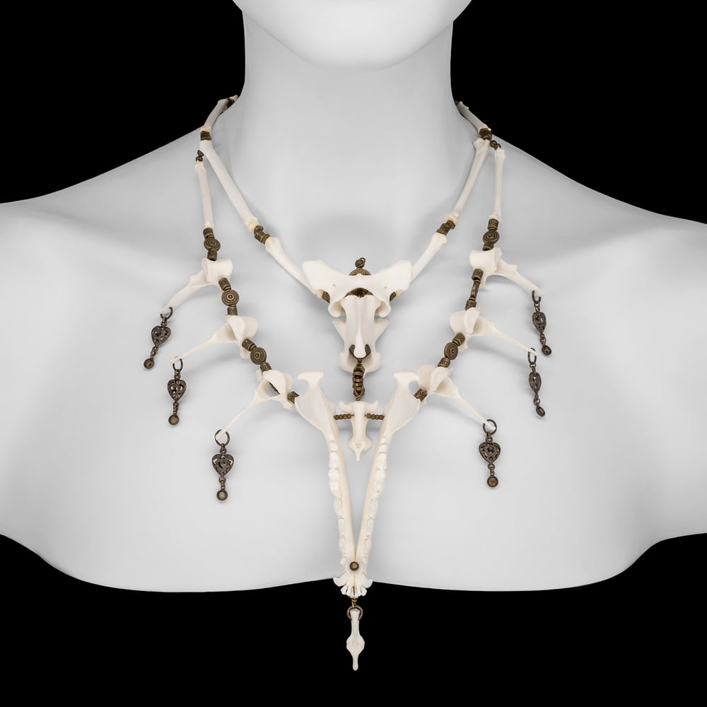 Image of "Kalas" Fox Bone Necklace