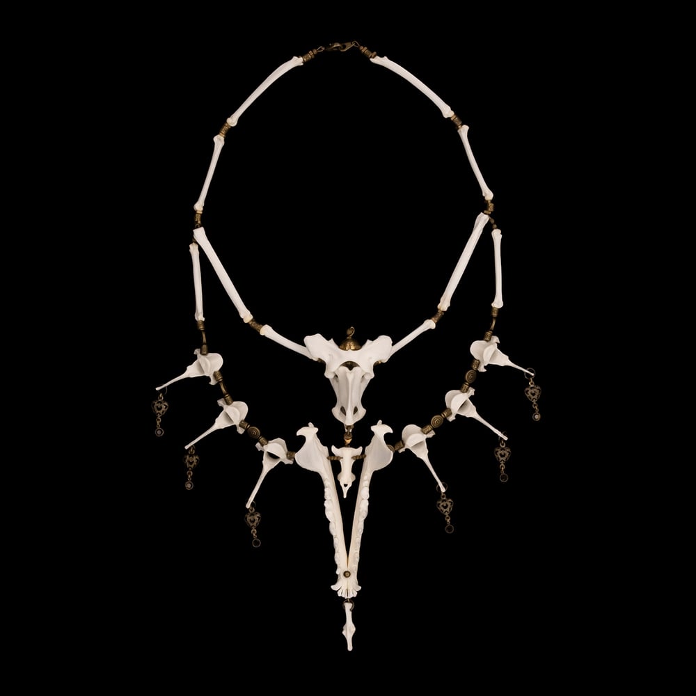Image of "Kalas" Fox Bone Necklace