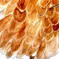 Image 4 of Limpkin Bird Art, Original Watercolor Painting