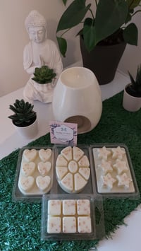 Image 1 of Vanilla Wax Melt Clamshell 