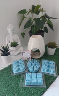 Image 1 of Fresh Linen Wax Melt Clamshell