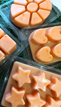 Image 3 of Star Burst Wax Melt Clamshell