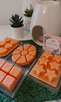 Image 1 of Star Burst Wax Melt Clamshell