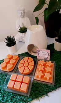 Image 2 of Star Burst Wax Melt Clamshell